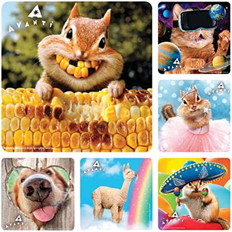Avanti Stickers in 6 Assorted Designs - 100 Per Pack
