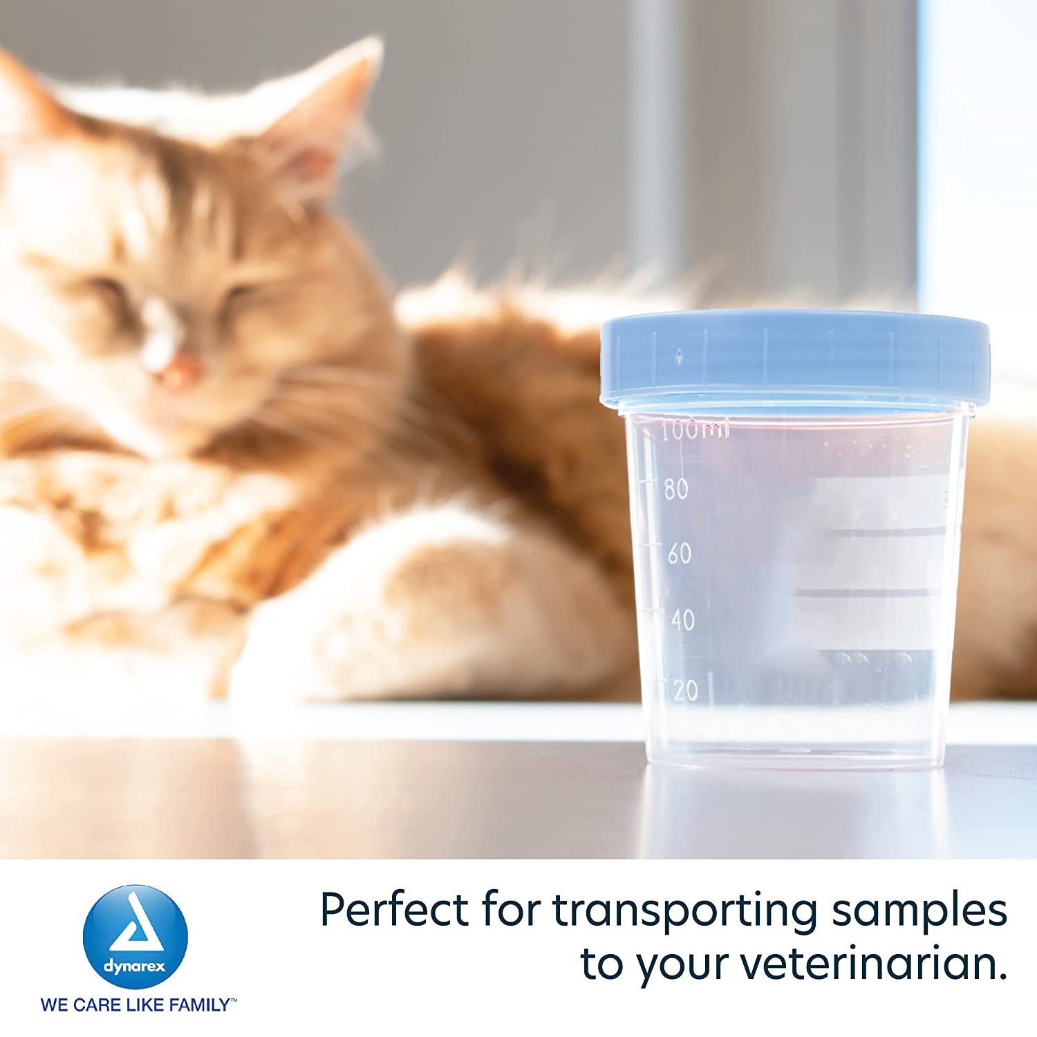 Dynarex Specimen Containers, Non-Sterile, Bulk Packaged Specimen Cups with Lids, Clear with Blue Lid, 1 Box of 500