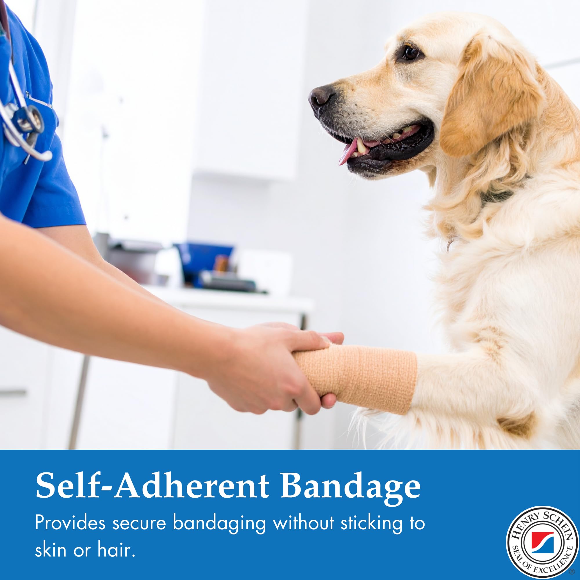 Henry Schein Premium Self-Adherent Elastic Bandage Wrap – Flexible, Latex-Free, Non-Sterile Medical Wrap for Compression & Wound Support